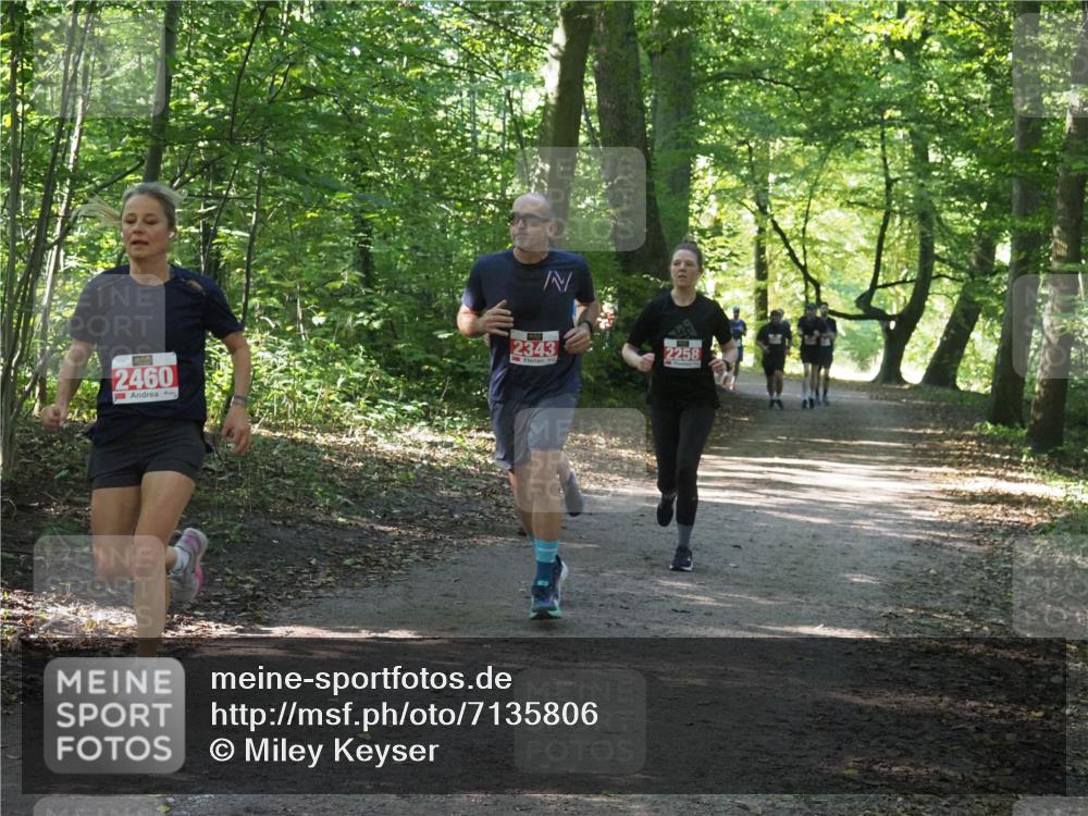 22.09.2024 - 32. Volkslauf durch das schöne Alstertal Miley Keyser http://msf.ph/oto/7135806 22.09.2024 10:44:52 Laufen 2460, 2343, 2258 meine-sportfotos.de