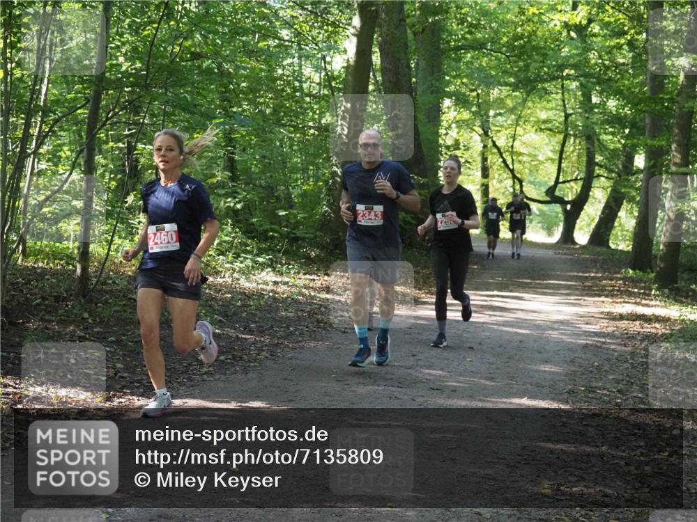 22.09.2024 - 32. Volkslauf durch das schöne Alstertal Miley Keyser http://msf.ph/oto/7135809 22.09.2024 10:44:52 Laufen 2460, 2343, 2250 meine-sportfotos.de