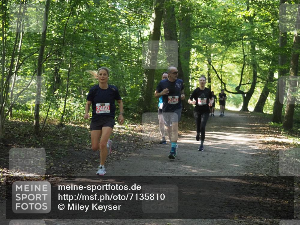 22.09.2024 - 32. Volkslauf durch das schöne Alstertal Miley Keyser http://msf.ph/oto/7135810 22.09.2024 10:44:51 Laufen 2460, 2343 meine-sportfotos.de