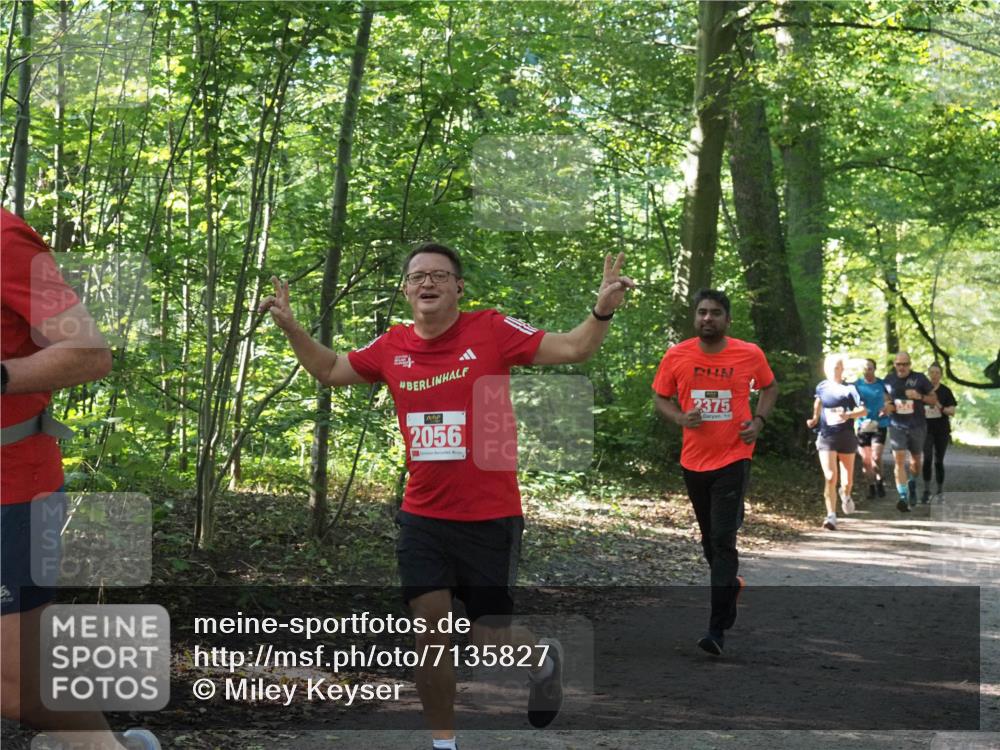 22.09.2024 - 32. Volkslauf durch das schöne Alstertal Miley Keyser http://msf.ph/oto/7135827 22.09.2024 10:44:48 Laufen 2056, 2375 meine-sportfotos.de