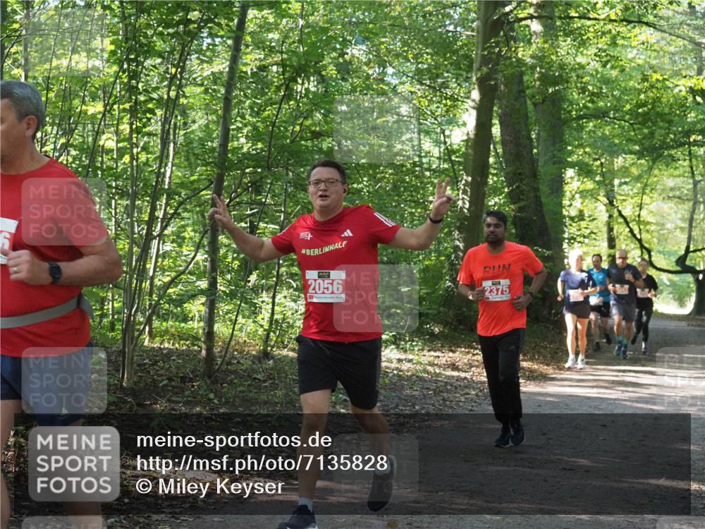 22.09.2024 - 32. Volkslauf durch das schöne Alstertal Miley Keyser http://msf.ph/oto/7135828 22.09.2024 10:44:48 Laufen 2056, 2375 meine-sportfotos.de