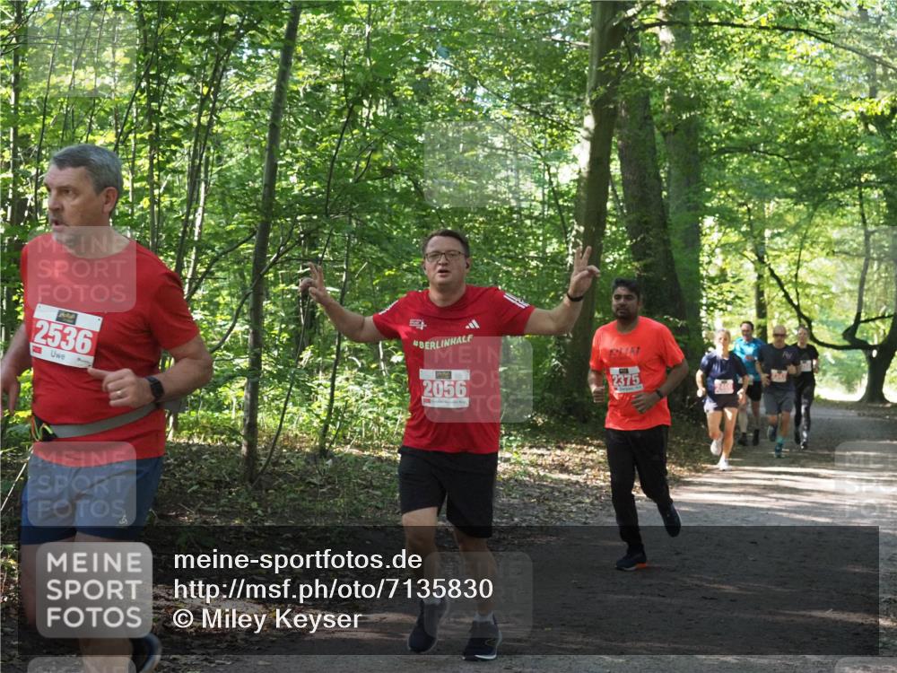 22.09.2024 - 32. Volkslauf durch das schöne Alstertal Miley Keyser http://msf.ph/oto/7135830 22.09.2024 10:44:48 Laufen 2536, 2056, 2375 meine-sportfotos.de