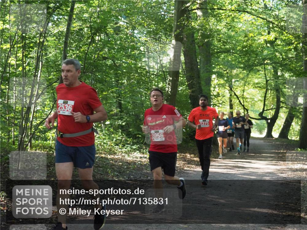 22.09.2024 - 32. Volkslauf durch das schöne Alstertal Miley Keyser http://msf.ph/oto/7135831 22.09.2024 10:44:47 Laufen 2536, 2056, 2375 meine-sportfotos.de