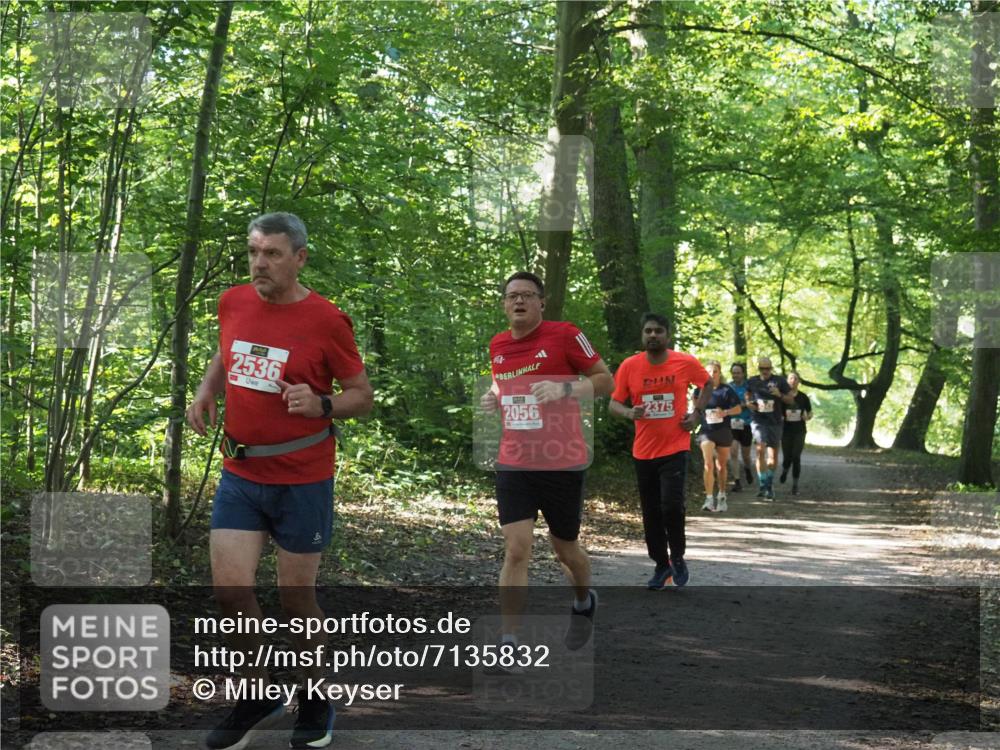 22.09.2024 - 32. Volkslauf durch das schöne Alstertal Miley Keyser http://msf.ph/oto/7135832 22.09.2024 10:44:47 Laufen 2536, 2056, 2375 meine-sportfotos.de