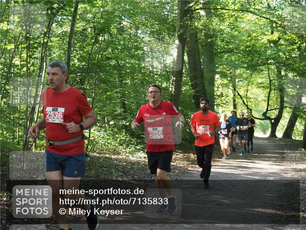 22.09.2024 - 32. Volkslauf durch das schöne Alstertal Miley Keyser http://msf.ph/oto/7135833 22.09.2024 10:44:47 Laufen 2536, 2056 meine-sportfotos.de