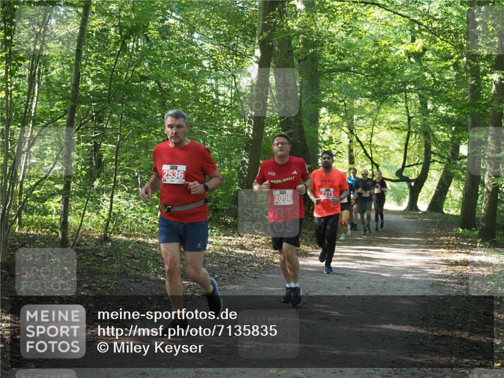 22.09.2024 - 32. Volkslauf durch das schöne Alstertal Miley Keyser http://msf.ph/oto/7135835 22.09.2024 10:44:47 Laufen 2536, 1, 2056, 2375 meine-sportfotos.de