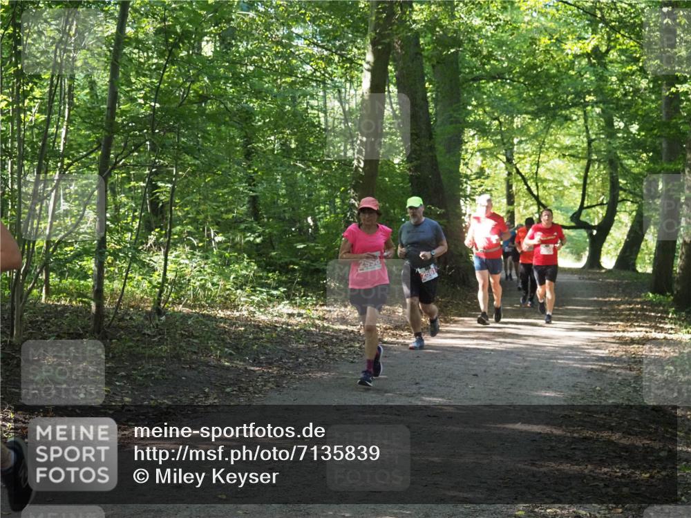 22.09.2024 - 32. Volkslauf durch das schöne Alstertal Miley Keyser http://msf.ph/oto/7135839 22.09.2024 10:44:43 Laufen  meine-sportfotos.de