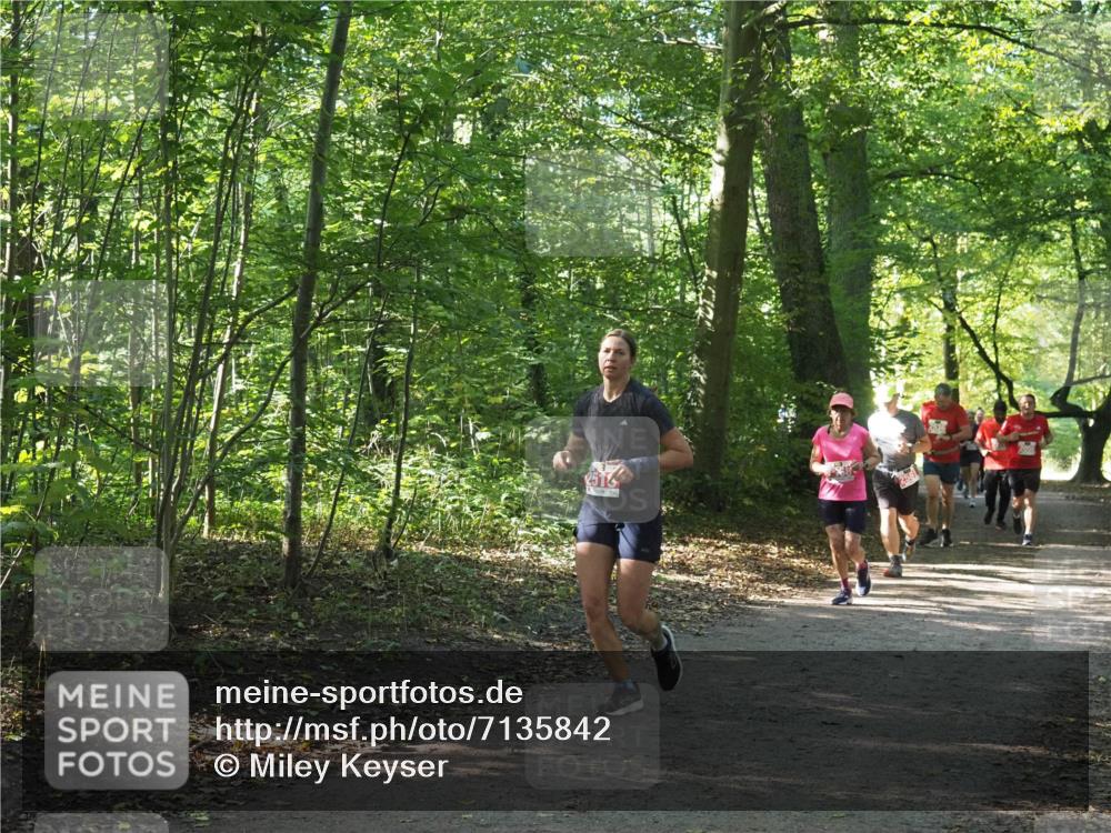 22.09.2024 - 32. Volkslauf durch das schöne Alstertal Miley Keyser http://msf.ph/oto/7135842 22.09.2024 10:44:41 Laufen  meine-sportfotos.de