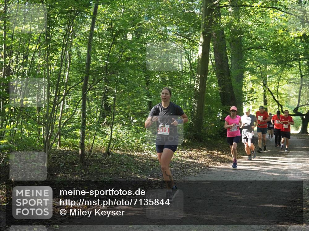 22.09.2024 - 32. Volkslauf durch das schöne Alstertal Miley Keyser http://msf.ph/oto/7135844 22.09.2024 10:44:42 Laufen 2968, 2519 meine-sportfotos.de