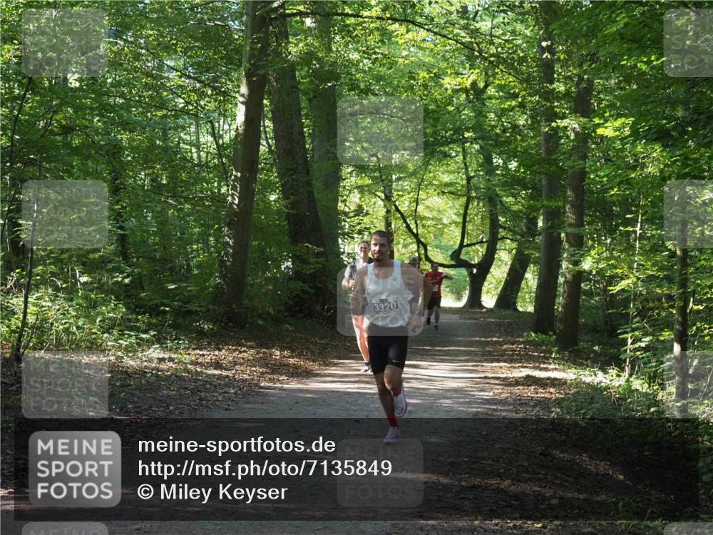 22.09.2024 - 32. Volkslauf durch das schöne Alstertal Miley Keyser http://msf.ph/oto/7135849 22.09.2024 10:44:39 Laufen 3320 meine-sportfotos.de