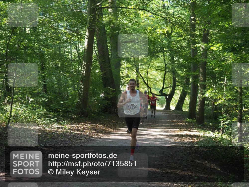 22.09.2024 - 32. Volkslauf durch das schöne Alstertal Miley Keyser http://msf.ph/oto/7135851 22.09.2024 10:44:39 Laufen 3320 meine-sportfotos.de