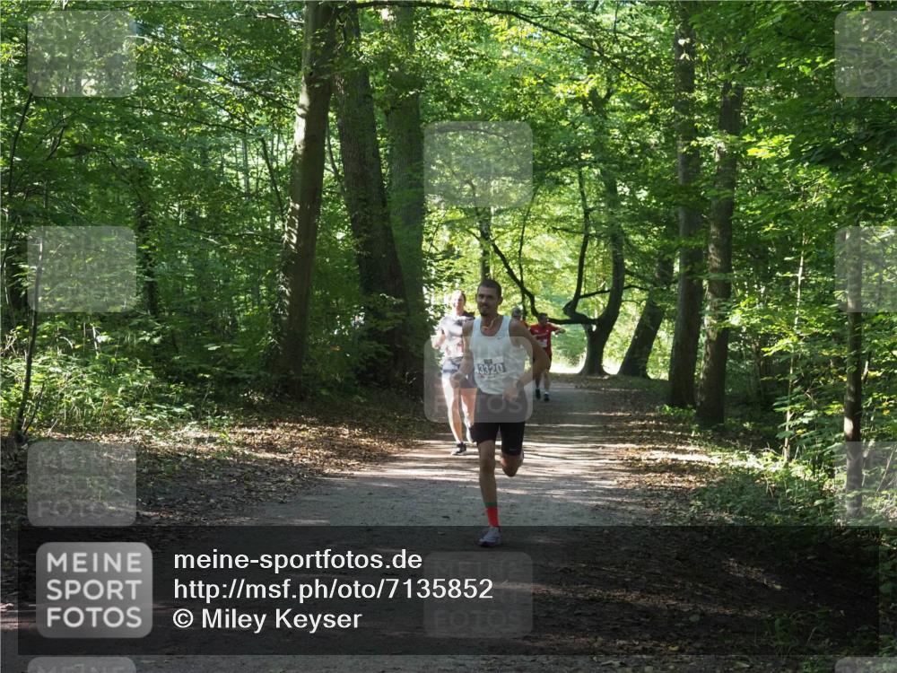 22.09.2024 - 32. Volkslauf durch das schöne Alstertal Miley Keyser http://msf.ph/oto/7135852 22.09.2024 10:44:38 Laufen 3320 meine-sportfotos.de