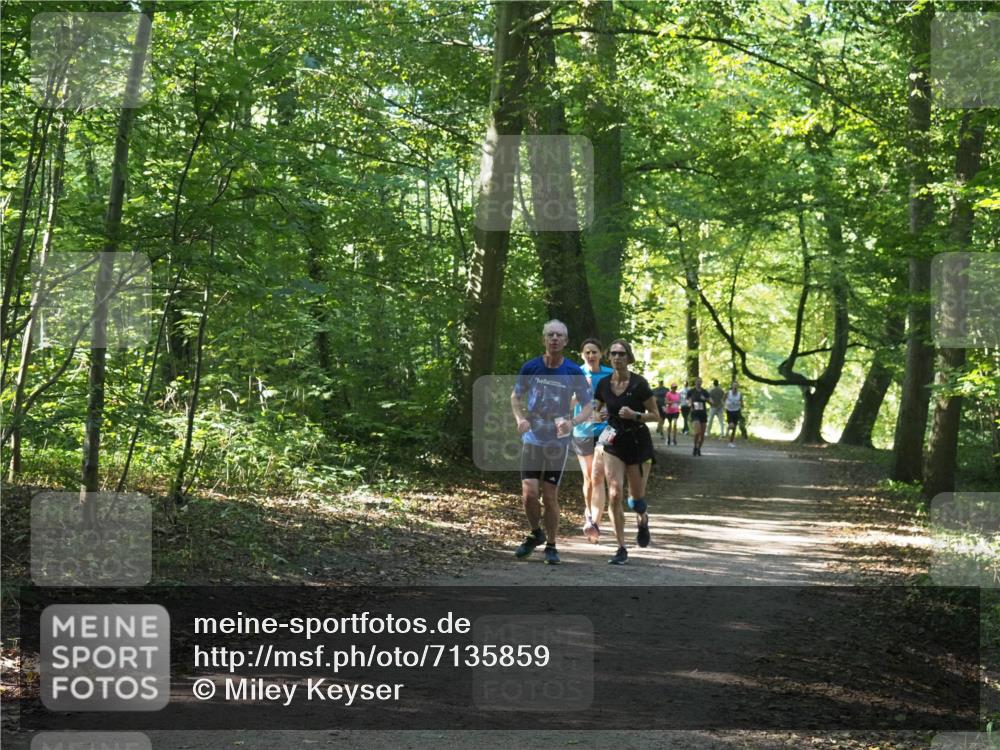 22.09.2024 - 32. Volkslauf durch das schöne Alstertal Miley Keyser http://msf.ph/oto/7135859 22.09.2024 10:44:30 Laufen  meine-sportfotos.de