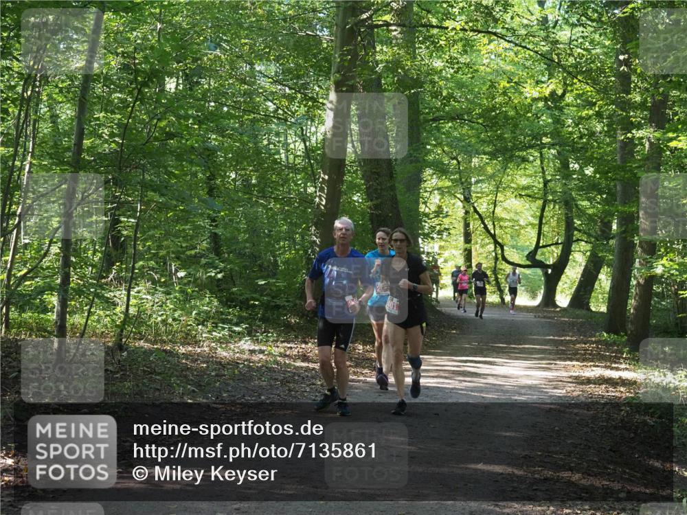 22.09.2024 - 32. Volkslauf durch das schöne Alstertal Miley Keyser http://msf.ph/oto/7135861 22.09.2024 10:44:31 Laufen  meine-sportfotos.de