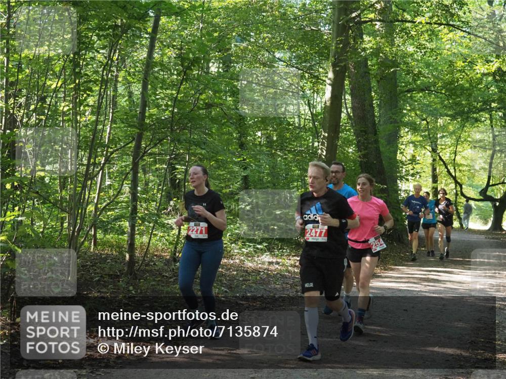 22.09.2024 - 32. Volkslauf durch das schöne Alstertal Miley Keyser http://msf.ph/oto/7135874 22.09.2024 10:44:27 Laufen 2271, 2477 meine-sportfotos.de
