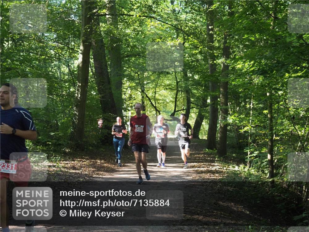 22.09.2024 - 32. Volkslauf durch das schöne Alstertal Miley Keyser http://msf.ph/oto/7135884 22.09.2024 10:44:24 Laufen 2331, 2454 meine-sportfotos.de