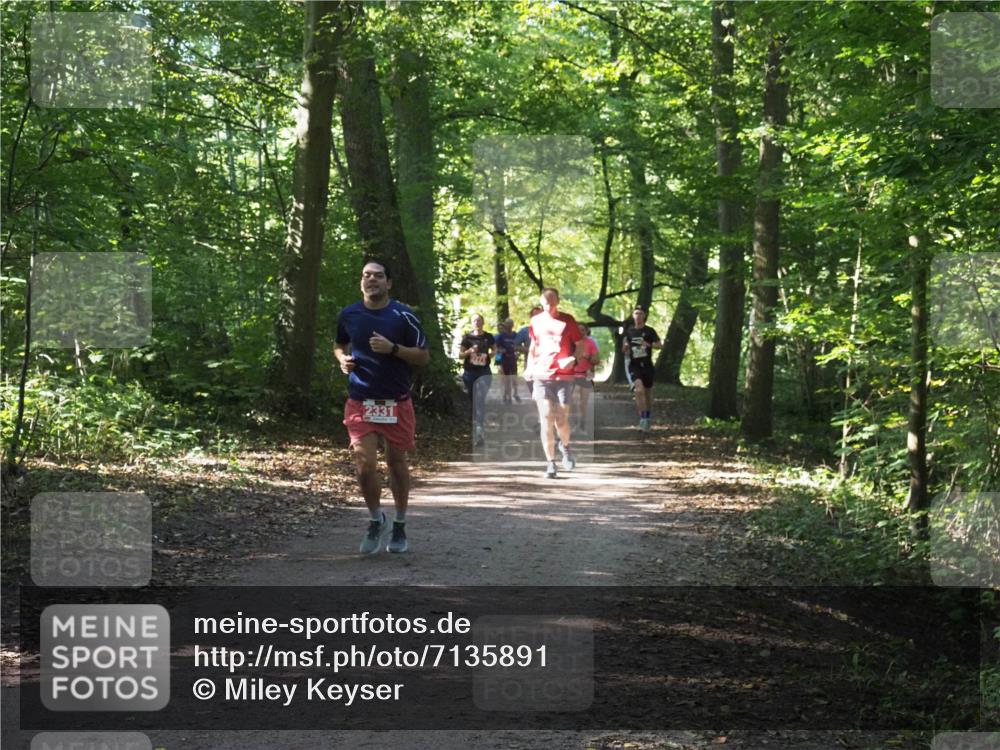 22.09.2024 - 32. Volkslauf durch das schöne Alstertal Miley Keyser http://msf.ph/oto/7135891 22.09.2024 10:44:22 Laufen 2331 meine-sportfotos.de