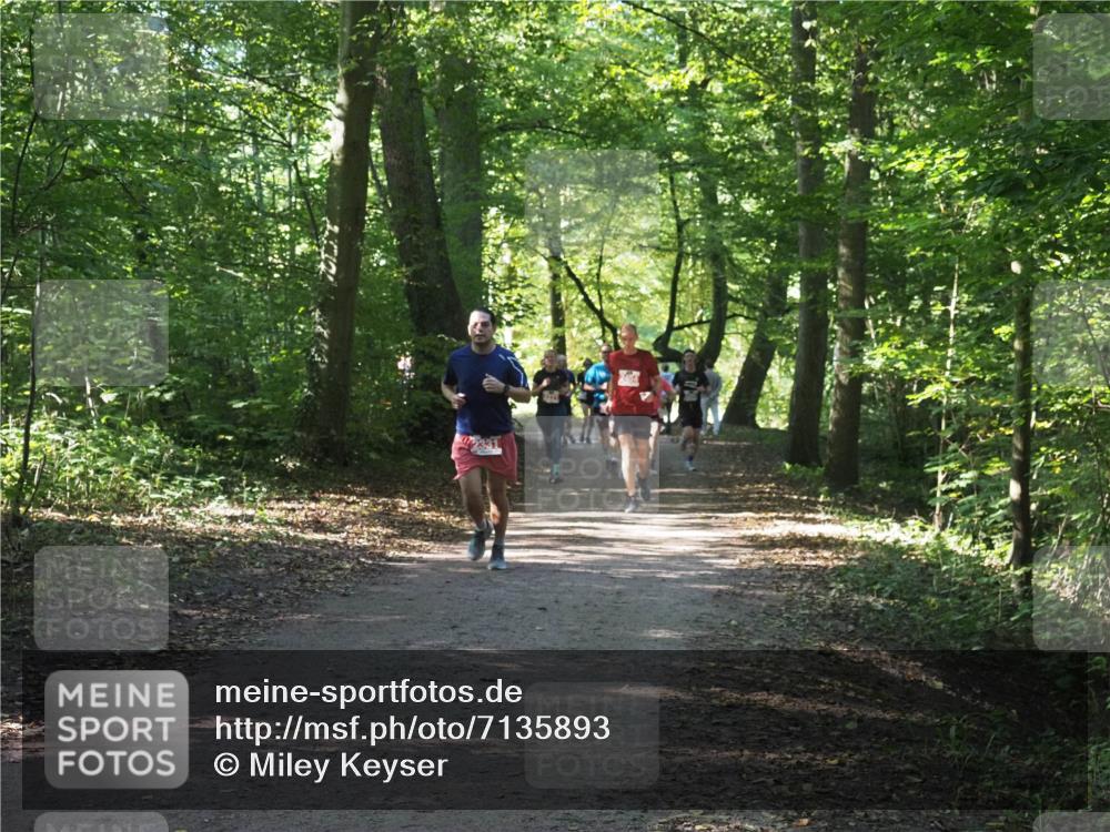 22.09.2024 - 32. Volkslauf durch das schöne Alstertal Miley Keyser http://msf.ph/oto/7135893 22.09.2024 10:44:21 Laufen  meine-sportfotos.de
