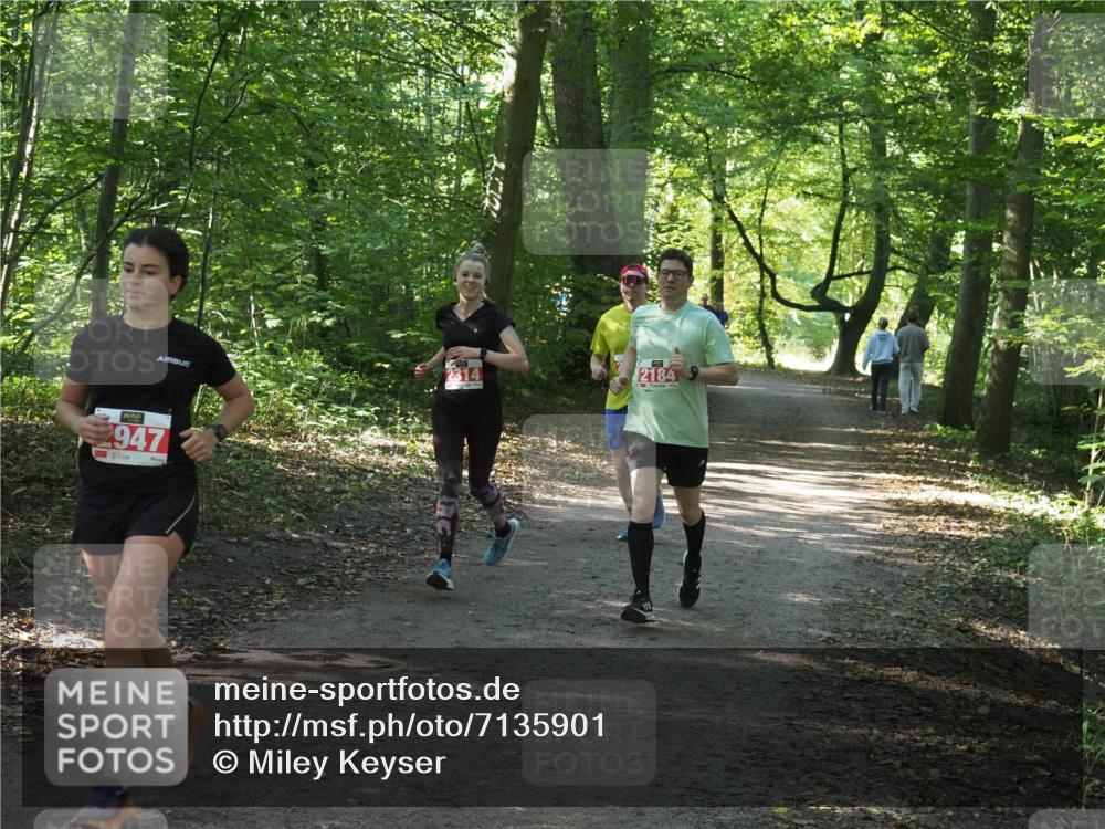 22.09.2024 - 32. Volkslauf durch das schöne Alstertal Miley Keyser http://msf.ph/oto/7135901 22.09.2024 10:44:11 Laufen 2314, 2947, 2184 meine-sportfotos.de