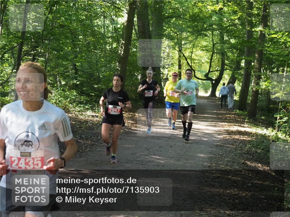22.09.2024 - 32. Volkslauf durch das schöne Alstertal Miley Keyser http://msf.ph/oto/7135903 22.09.2024 10:44:10 Laufen 24350, 2947, 2314, 2370, 184 meine-sportfotos.de