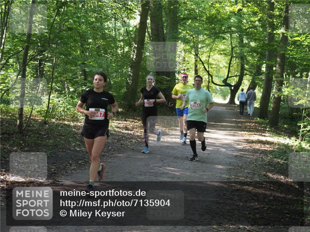 22.09.2024 - 32. Volkslauf durch das schöne Alstertal Miley Keyser http://msf.ph/oto/7135904 22.09.2024 10:44:11 Laufen 2184, 947 meine-sportfotos.de