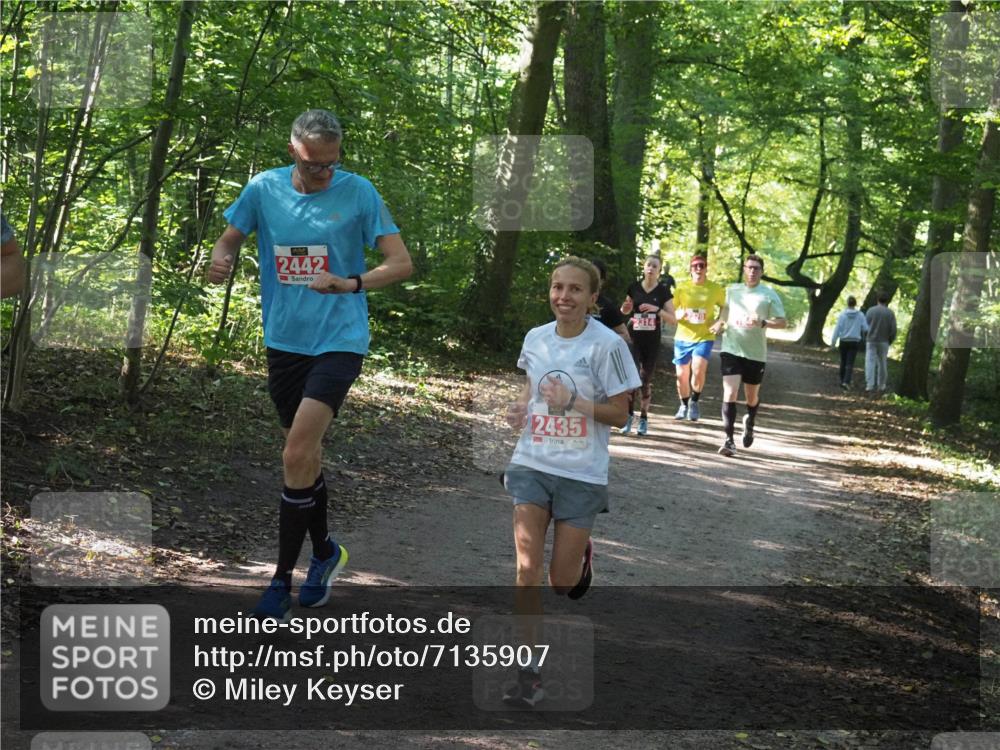 22.09.2024 - 32. Volkslauf durch das schöne Alstertal Miley Keyser http://msf.ph/oto/7135907 22.09.2024 10:44:09 Laufen 2442, 2435, 2314 meine-sportfotos.de