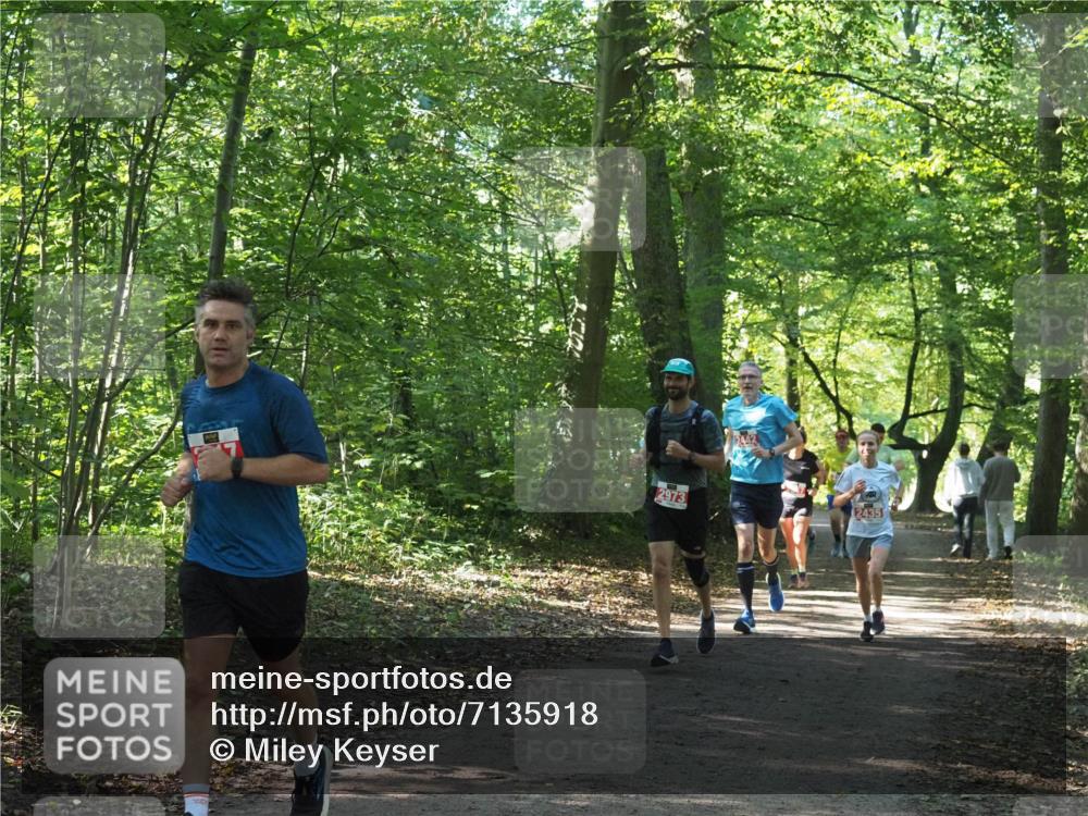 22.09.2024 - 32. Volkslauf durch das schöne Alstertal Miley Keyser http://msf.ph/oto/7135918 22.09.2024 10:44:07 Laufen 2973, 2435 meine-sportfotos.de