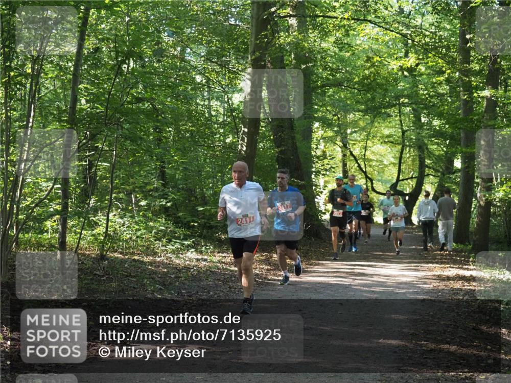 22.09.2024 - 32. Volkslauf durch das schöne Alstertal Miley Keyser http://msf.ph/oto/7135925 22.09.2024 10:44:04 Laufen 2417, 2973 meine-sportfotos.de