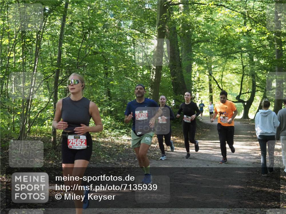 22.09.2024 - 32. Volkslauf durch das schöne Alstertal Miley Keyser http://msf.ph/oto/7135939 22.09.2024 10:43:51 Laufen 2562, 2420, 2011, 2010, 2346 meine-sportfotos.de