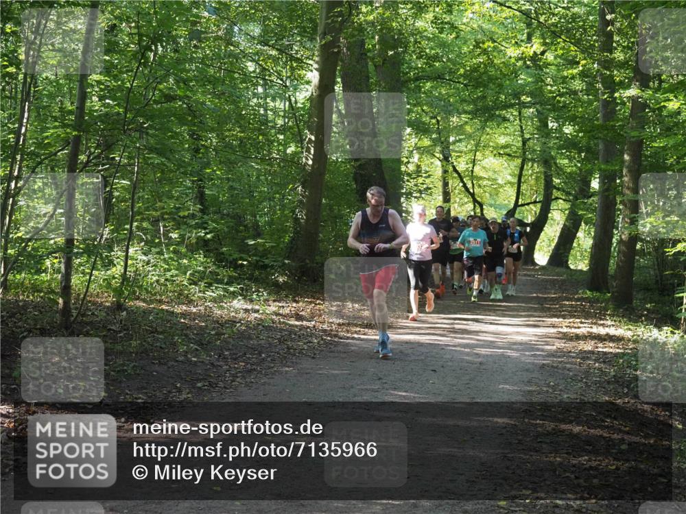 22.09.2024 - 32. Volkslauf durch das schöne Alstertal Miley Keyser http://msf.ph/oto/7135966 22.09.2024 10:43:38 Laufen  meine-sportfotos.de