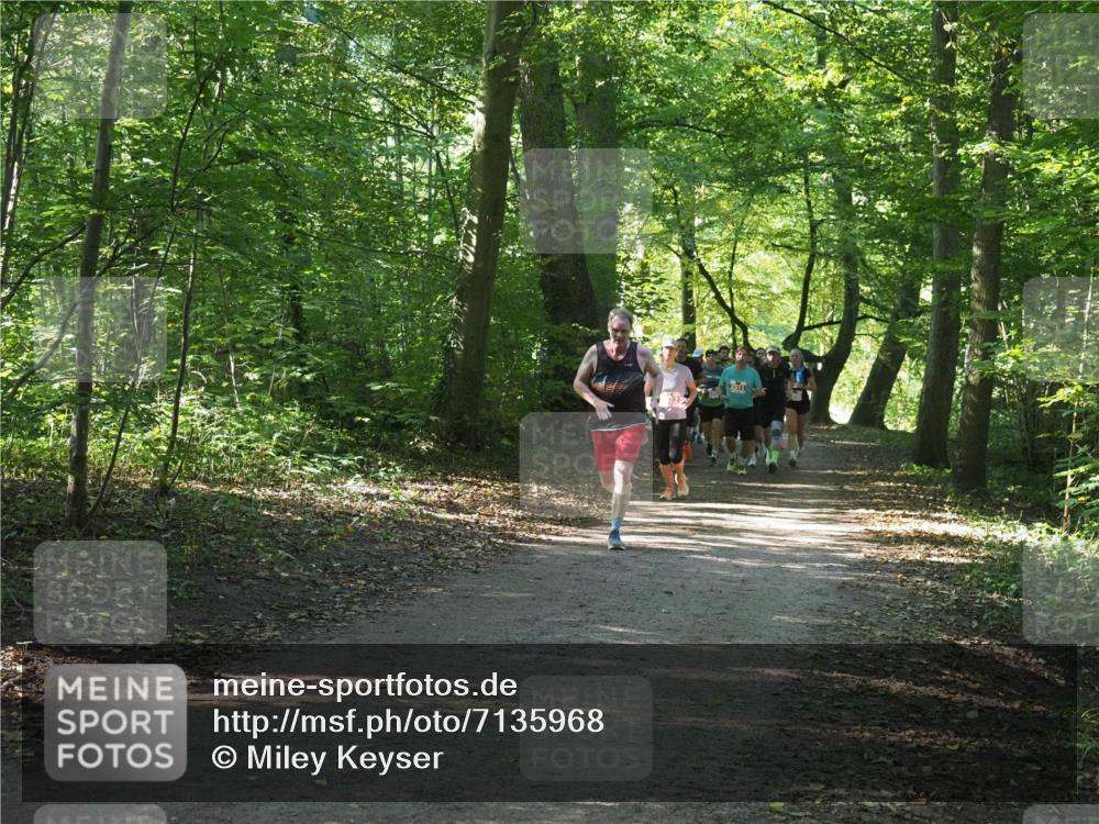 22.09.2024 - 32. Volkslauf durch das schöne Alstertal Miley Keyser http://msf.ph/oto/7135968 22.09.2024 10:43:37 Laufen  meine-sportfotos.de