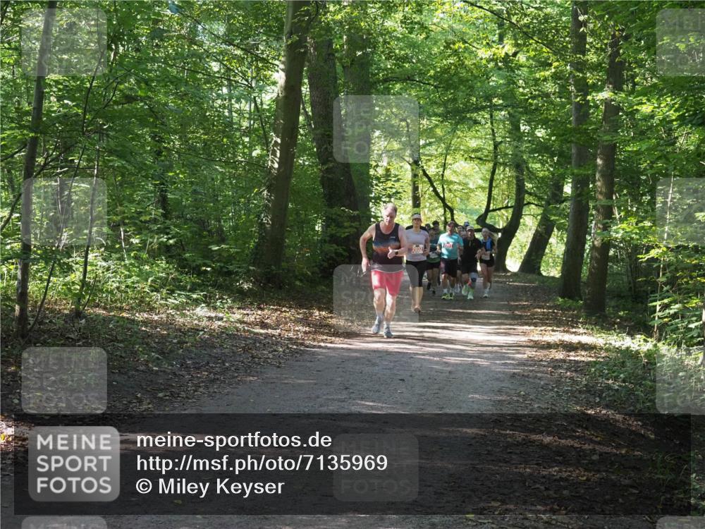 22.09.2024 - 32. Volkslauf durch das schöne Alstertal Miley Keyser http://msf.ph/oto/7135969 22.09.2024 10:43:36 Laufen 2032 meine-sportfotos.de
