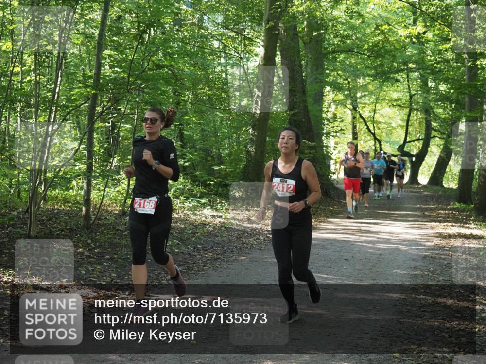 22.09.2024 - 32. Volkslauf durch das schöne Alstertal Miley Keyser http://msf.ph/oto/7135973 22.09.2024 10:43:35 Laufen 2168, 2412 meine-sportfotos.de