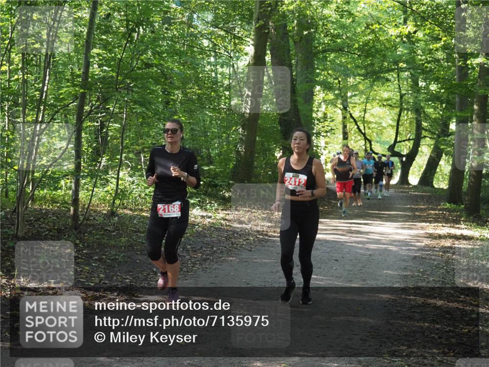 22.09.2024 - 32. Volkslauf durch das schöne Alstertal Miley Keyser http://msf.ph/oto/7135975 22.09.2024 10:43:35 Laufen 2168, 2412 meine-sportfotos.de