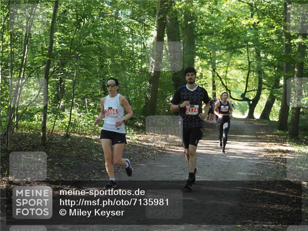 22.09.2024 - 32. Volkslauf durch das schöne Alstertal Miley Keyser http://msf.ph/oto/7135981 22.09.2024 10:43:33 Laufen 2494, 2174, 2412 meine-sportfotos.de