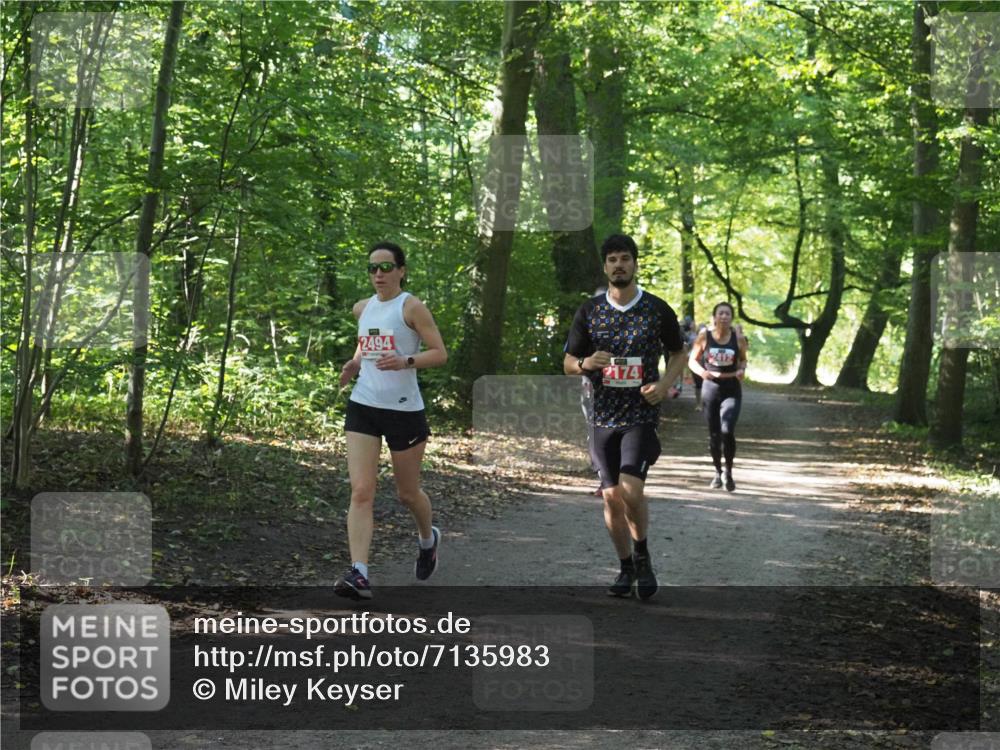22.09.2024 - 32. Volkslauf durch das schöne Alstertal Miley Keyser http://msf.ph/oto/7135983 22.09.2024 10:43:32 Laufen 2494, 2174 meine-sportfotos.de
