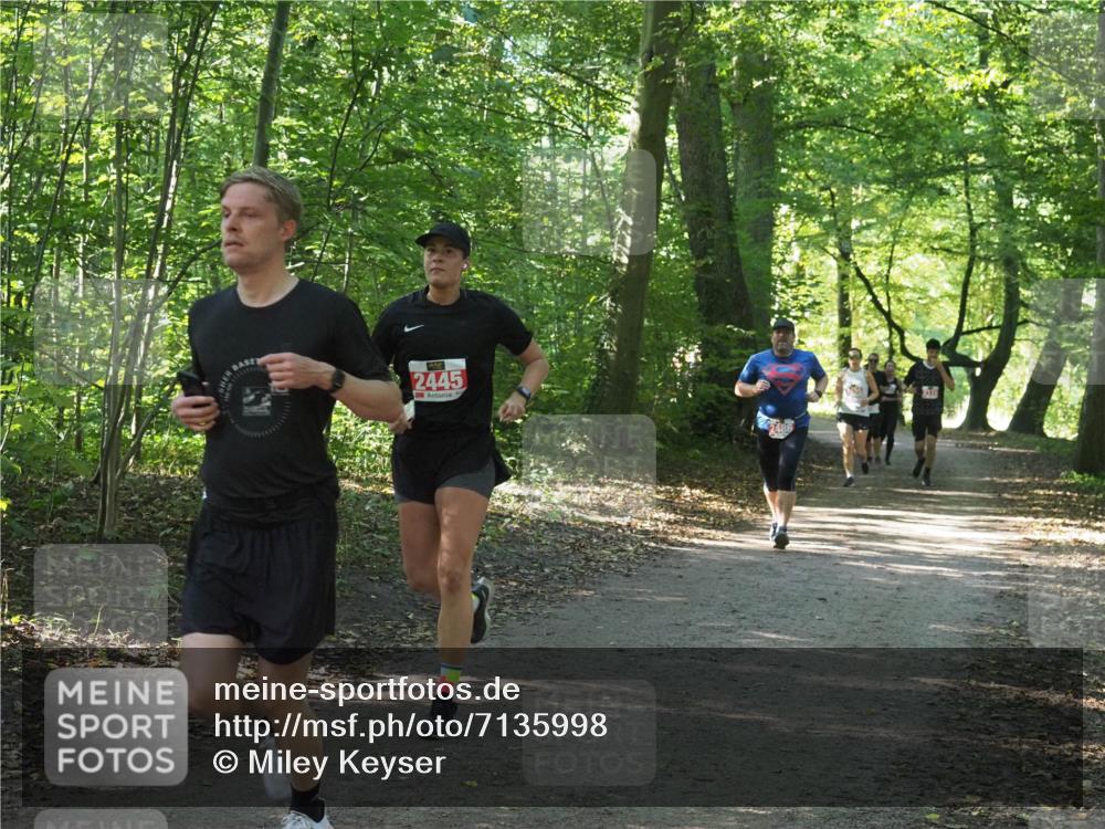 22.09.2024 - 32. Volkslauf durch das schöne Alstertal Miley Keyser http://msf.ph/oto/7135998 22.09.2024 10:43:27 Laufen 2445 meine-sportfotos.de