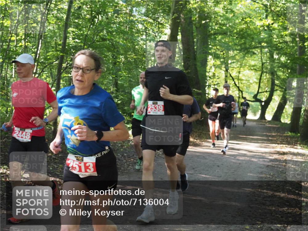 22.09.2024 - 32. Volkslauf durch das schöne Alstertal Miley Keyser http://msf.ph/oto/7136004 22.09.2024 10:43:24 Laufen 2448, 2513, 2539 meine-sportfotos.de