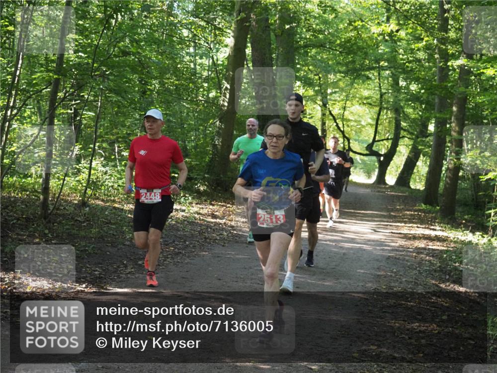 22.09.2024 - 32. Volkslauf durch das schöne Alstertal Miley Keyser http://msf.ph/oto/7136005 22.09.2024 10:43:23 Laufen 56, 2448, 2513 meine-sportfotos.de