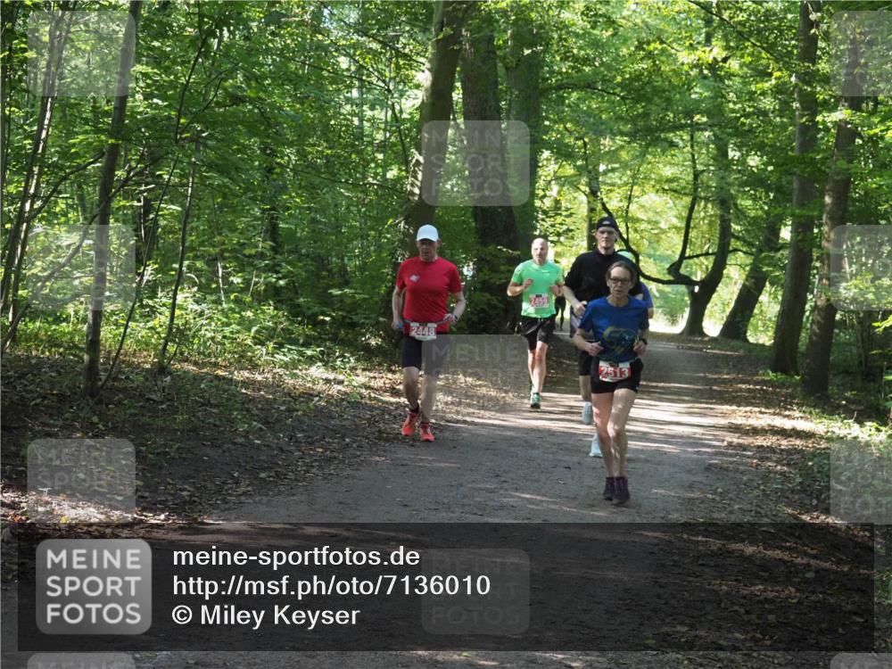 22.09.2024 - 32. Volkslauf durch das schöne Alstertal Miley Keyser http://msf.ph/oto/7136010 22.09.2024 10:43:21 Laufen 2448, 2459, 2513 meine-sportfotos.de