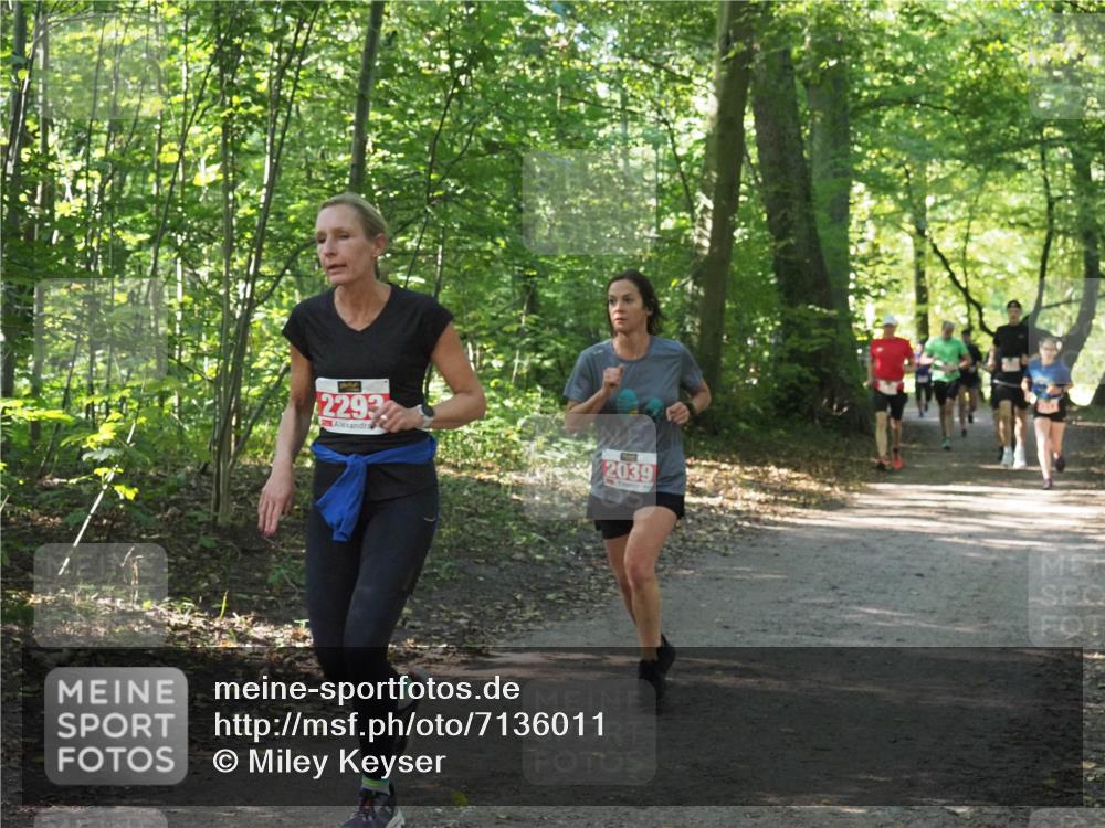 22.09.2024 - 32. Volkslauf durch das schöne Alstertal Miley Keyser http://msf.ph/oto/7136011 22.09.2024 10:43:18 Laufen 2293, 2039 meine-sportfotos.de