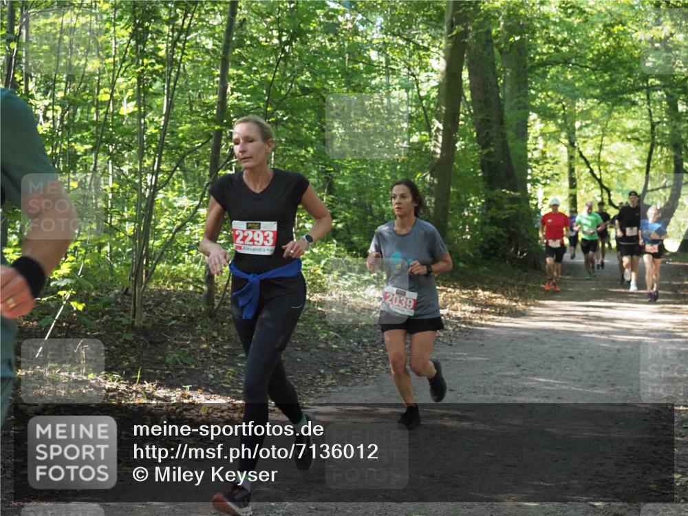 22.09.2024 - 32. Volkslauf durch das schöne Alstertal Miley Keyser http://msf.ph/oto/7136012 22.09.2024 10:43:18 Laufen 2293, 2039 meine-sportfotos.de
