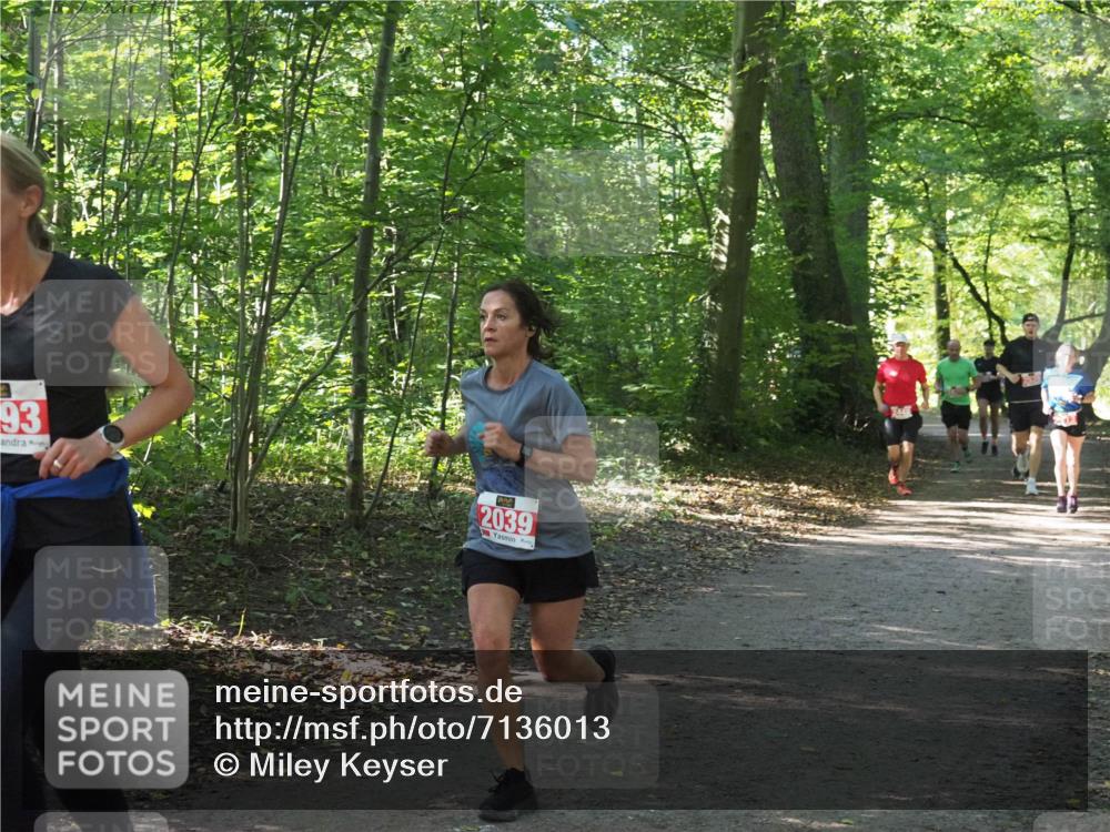 22.09.2024 - 32. Volkslauf durch das schöne Alstertal Miley Keyser http://msf.ph/oto/7136013 22.09.2024 10:43:18 Laufen 93, 2039 meine-sportfotos.de