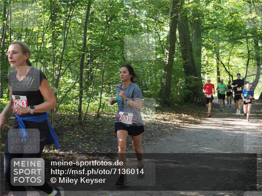 22.09.2024 - 32. Volkslauf durch das schöne Alstertal Miley Keyser http://msf.ph/oto/7136014 22.09.2024 10:43:18 Laufen 293, 2039 meine-sportfotos.de