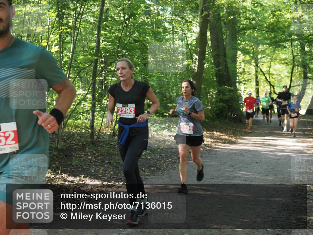 22.09.2024 - 32. Volkslauf durch das schöne Alstertal Miley Keyser http://msf.ph/oto/7136015 22.09.2024 10:43:18 Laufen 52, 2293, 2039 meine-sportfotos.de