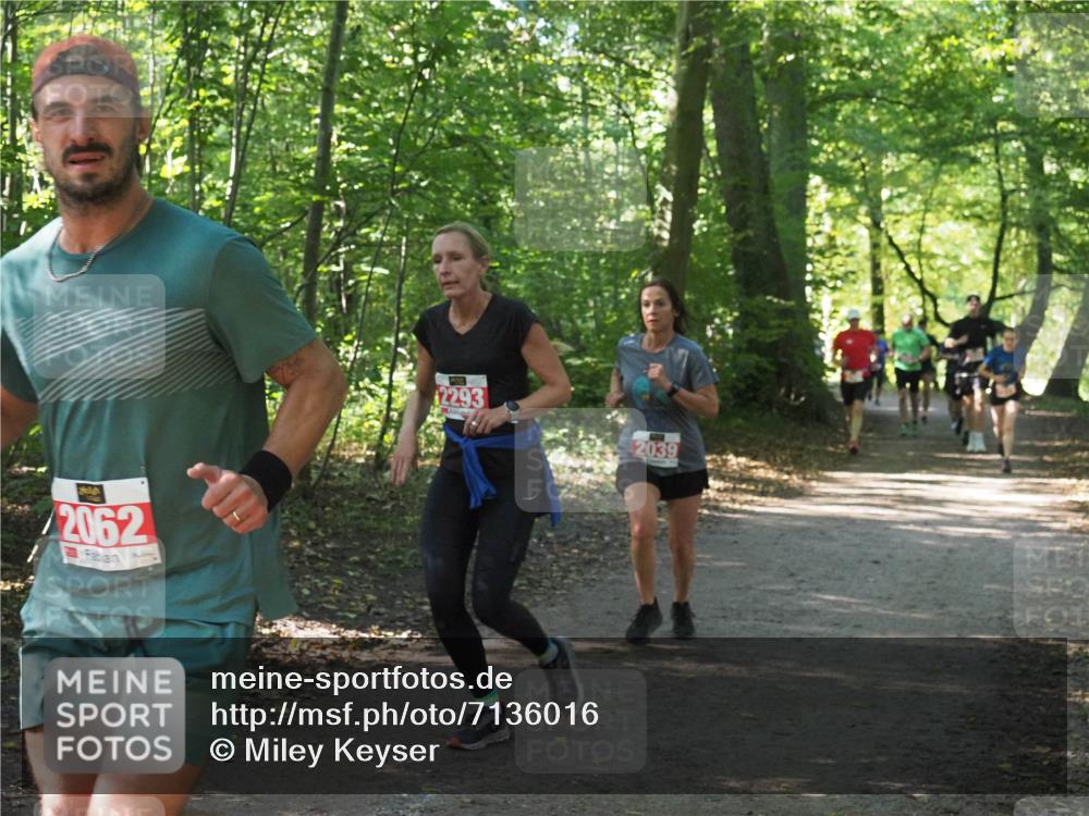 22.09.2024 - 32. Volkslauf durch das schöne Alstertal Miley Keyser http://msf.ph/oto/7136016 22.09.2024 10:43:17 Laufen 2062, 2293, 2039 meine-sportfotos.de