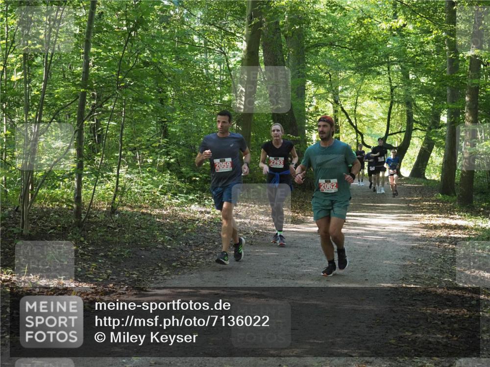 22.09.2024 - 32. Volkslauf durch das schöne Alstertal Miley Keyser http://msf.ph/oto/7136022 22.09.2024 10:43:15 Laufen 2059, 2293, 2062 meine-sportfotos.de