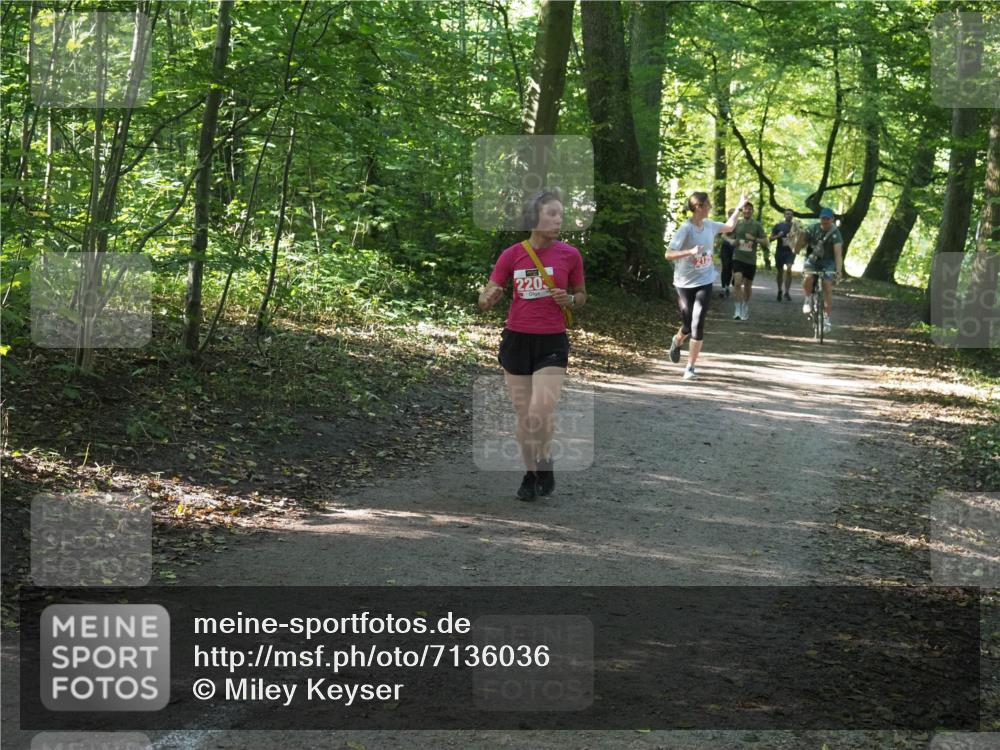 22.09.2024 - 32. Volkslauf durch das schöne Alstertal Miley Keyser http://msf.ph/oto/7136036 22.09.2024 10:43:07 Laufen 220, 2125 meine-sportfotos.de