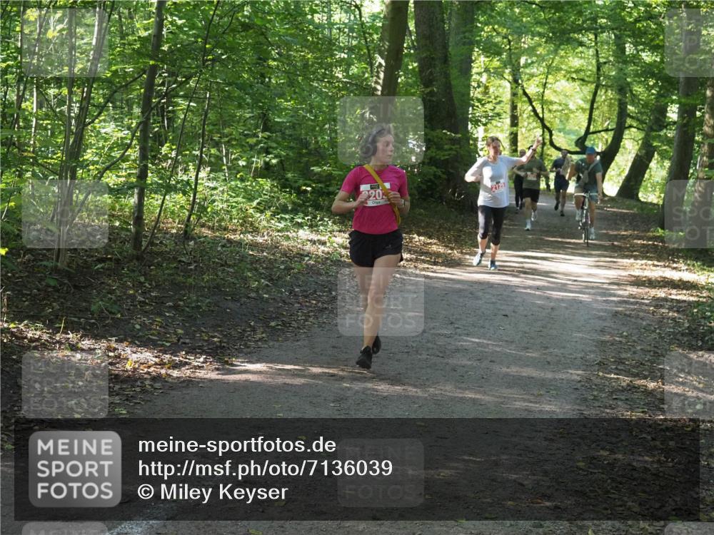 22.09.2024 - 32. Volkslauf durch das schöne Alstertal Miley Keyser http://msf.ph/oto/7136039 22.09.2024 10:43:07 Laufen 20, 2125 meine-sportfotos.de