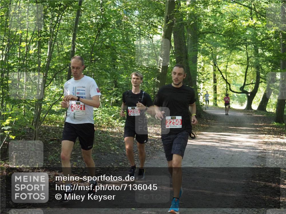 22.09.2024 - 32. Volkslauf durch das schöne Alstertal Miley Keyser http://msf.ph/oto/7136045 22.09.2024 10:42:57 Laufen 2021, 2285, 2250 meine-sportfotos.de